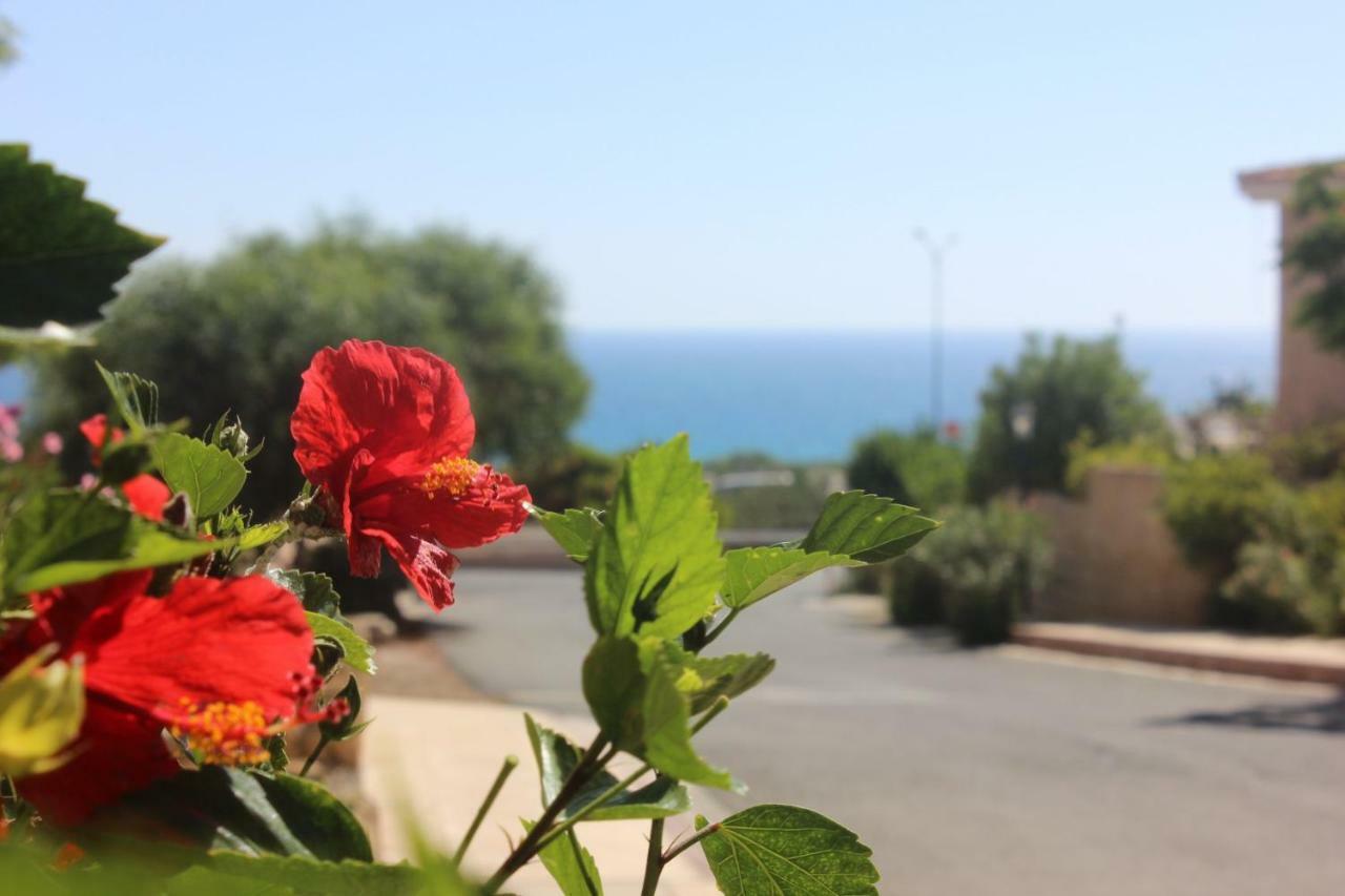 Kings Palace Indigo 109 Paphos ภายนอก รูปภาพ